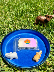 Tropical Sun, Moon & Rising Wax Melts